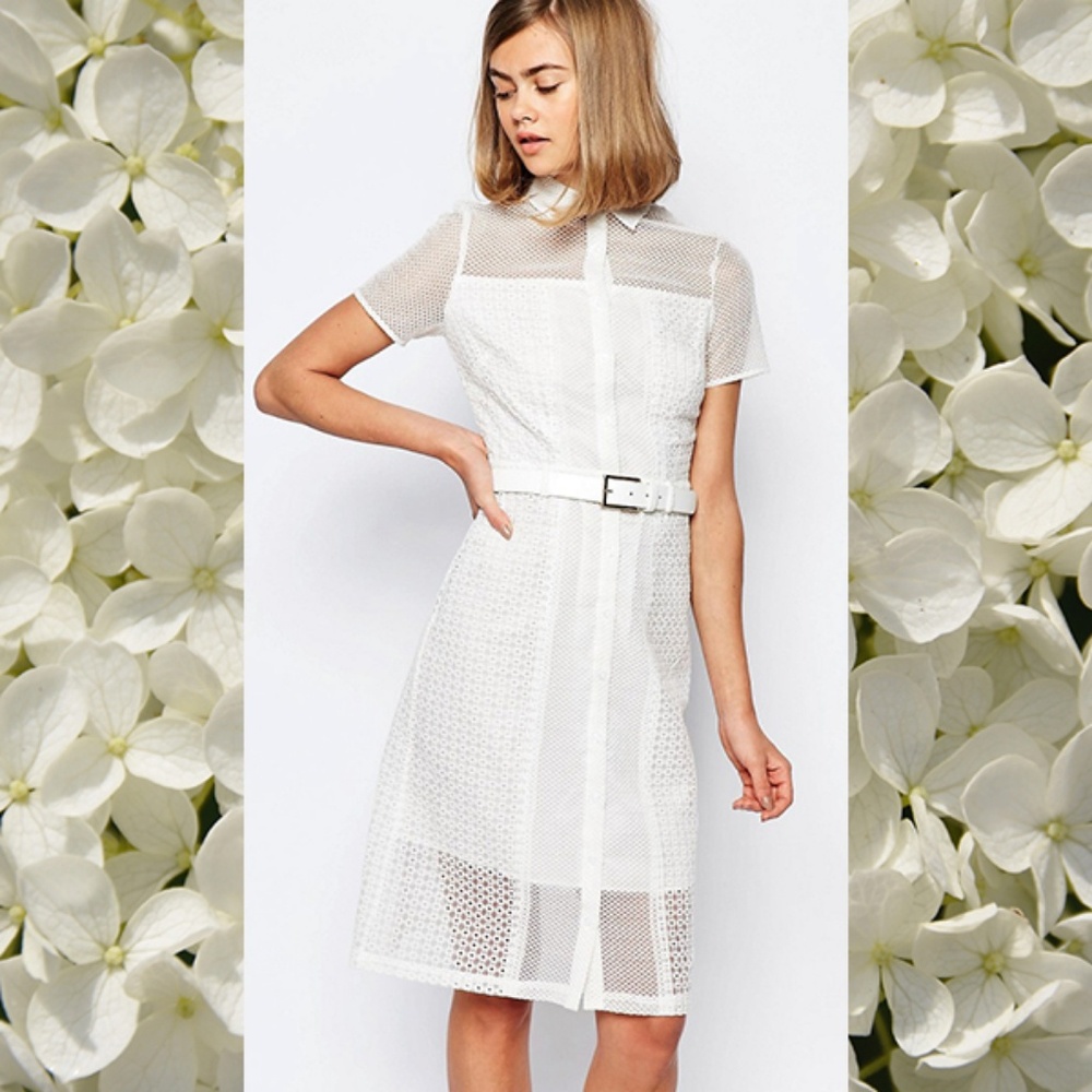 NWT Lost Ink Lace Dress (Asos) Sz.6US/10UK